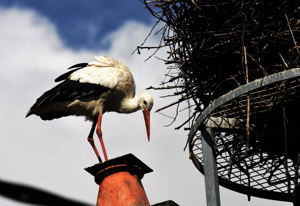 Gite Des Trois Vallees Nouzonville エクステリア 写真